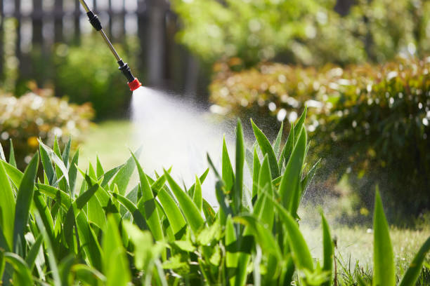 Tamper-Resistant Bait Stations for Rodents in Nolanville