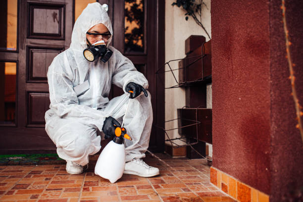 Attic and Crawl Space Rodent Treatment in Nolanville