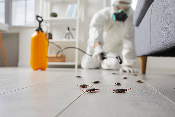 Commercial Rodent Management in Nolanville